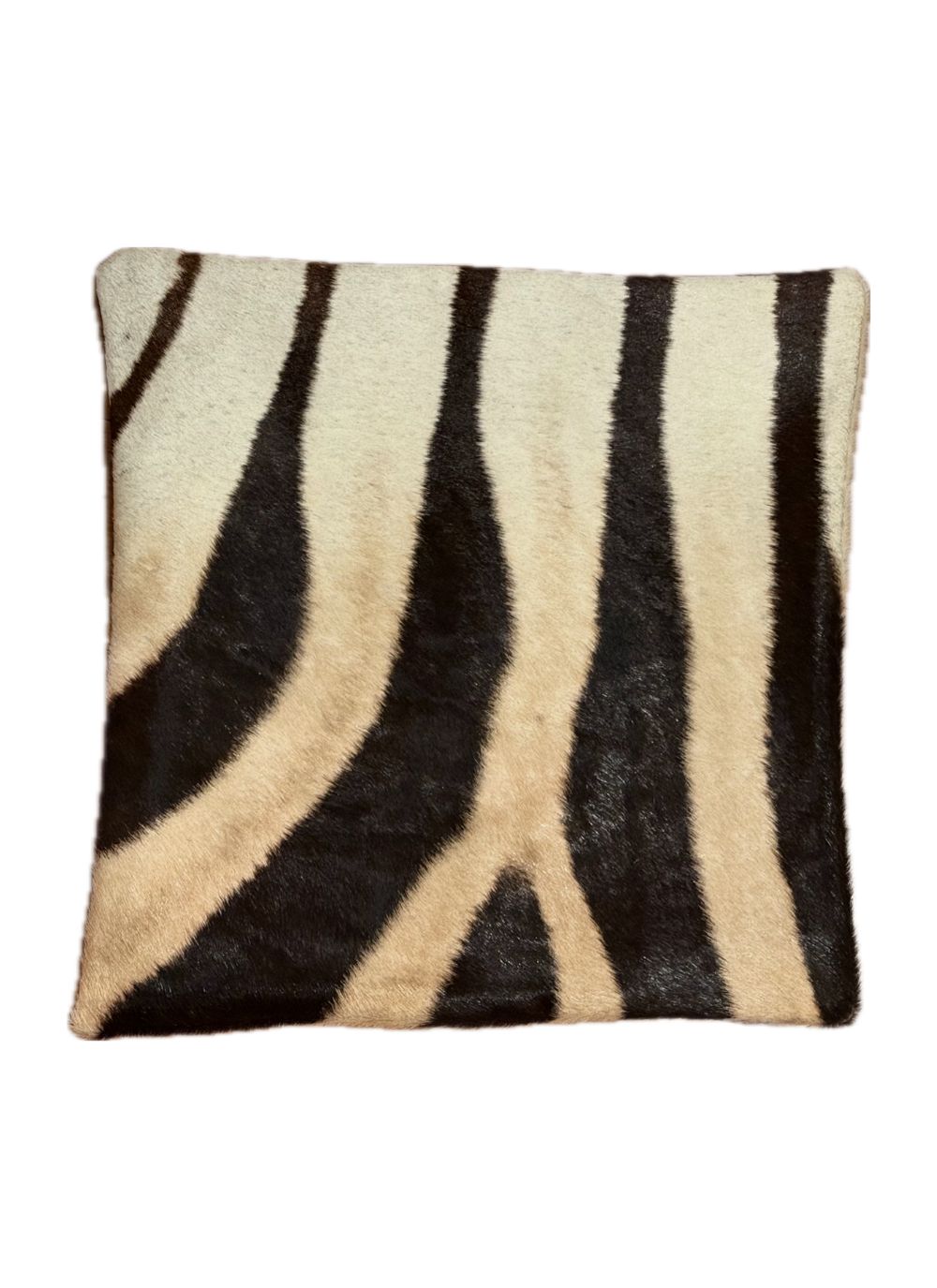 Zebra Pillow