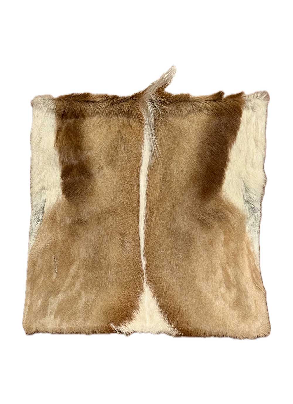Springbok Pillow