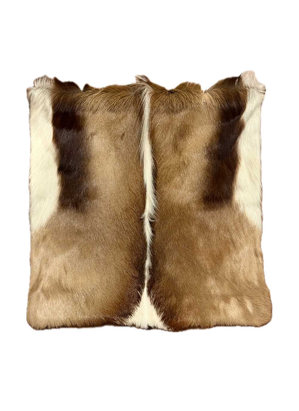 Springbok Pillow