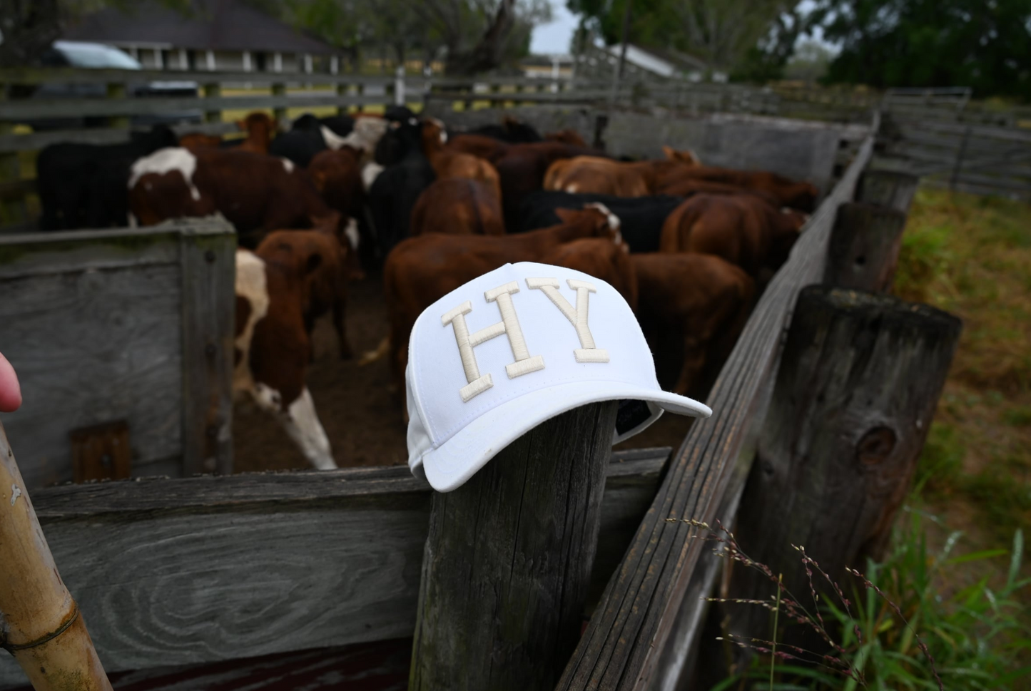 HY Embroidered Trucker Cap