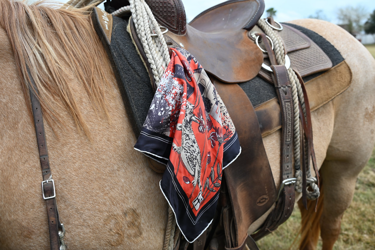 H. Yturria Ranch Scarf