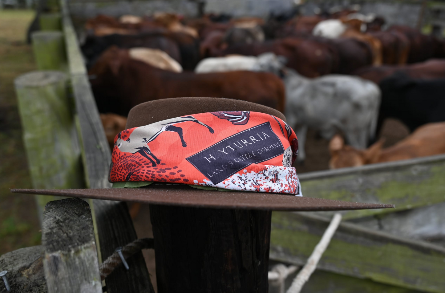 H. Yturria Ranch Scarf