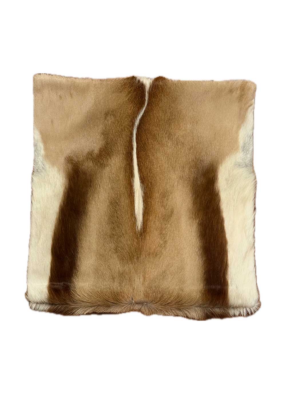 Springbok Pillow